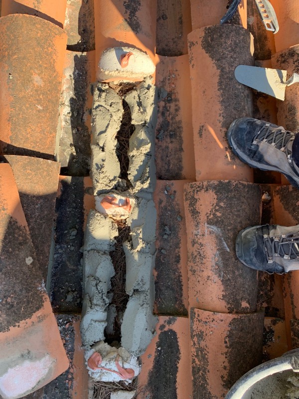 toiture tuile canal provençale