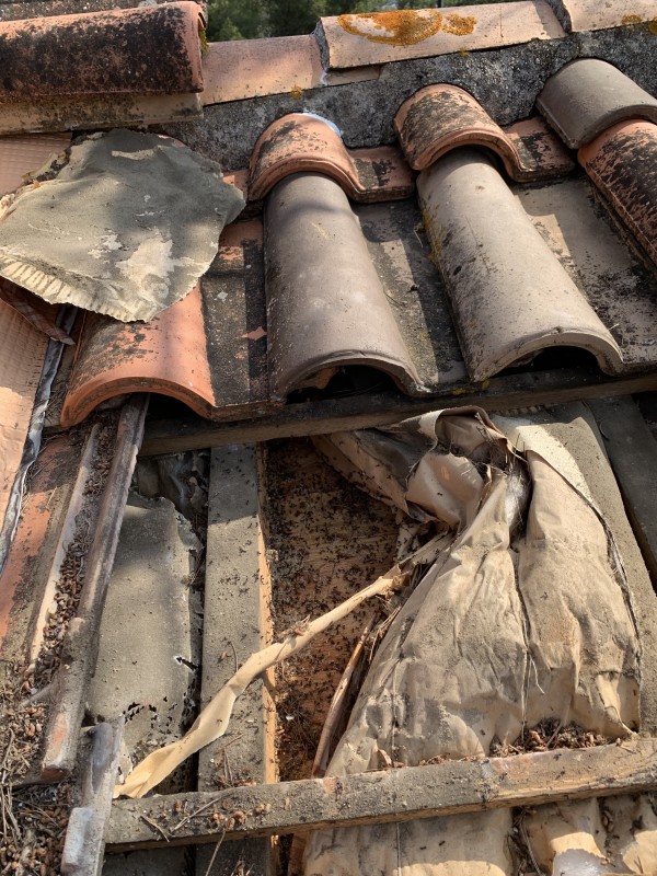 Couvreur La Seyne-sur-Mer pour traitement fourmi Charpentière