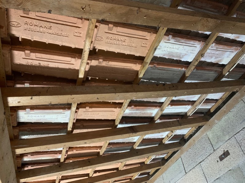 Traitement de charpente bois contre les termites et les capricornes à la garde