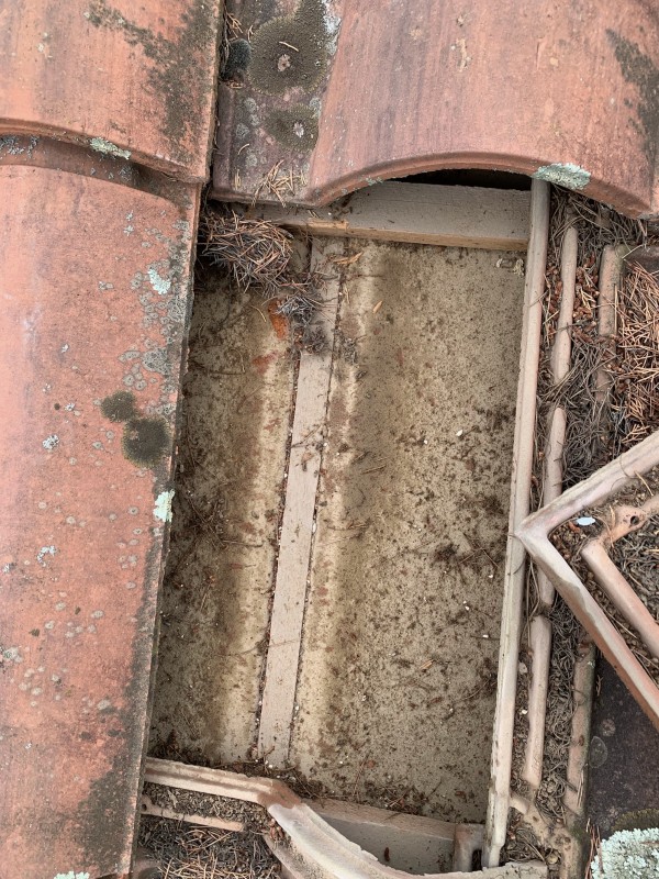 Traitement de charpente contre les fourmis charpentières à Bandol, Sanary-sur-Mer et Saint-Cyr-sur-Mer