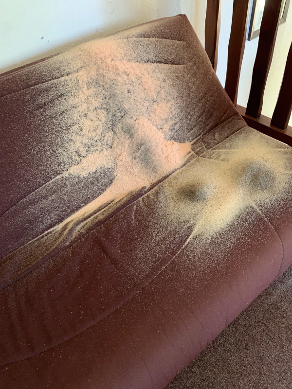 Traitement contre les fourmis charpentières à La Seyne‑sur‑Mer (83700, Var)