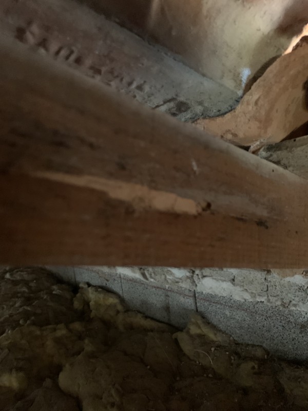 Traitement de charpente contre les fourmis charpentières à Six-Fours-les-Plages, La Seyne-sur-Mer et alentours – Chatelain Couvreurs