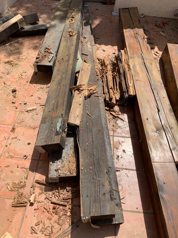Traitement contre les fourmis Charpentière sur charpente bois à Toulon dans le Var