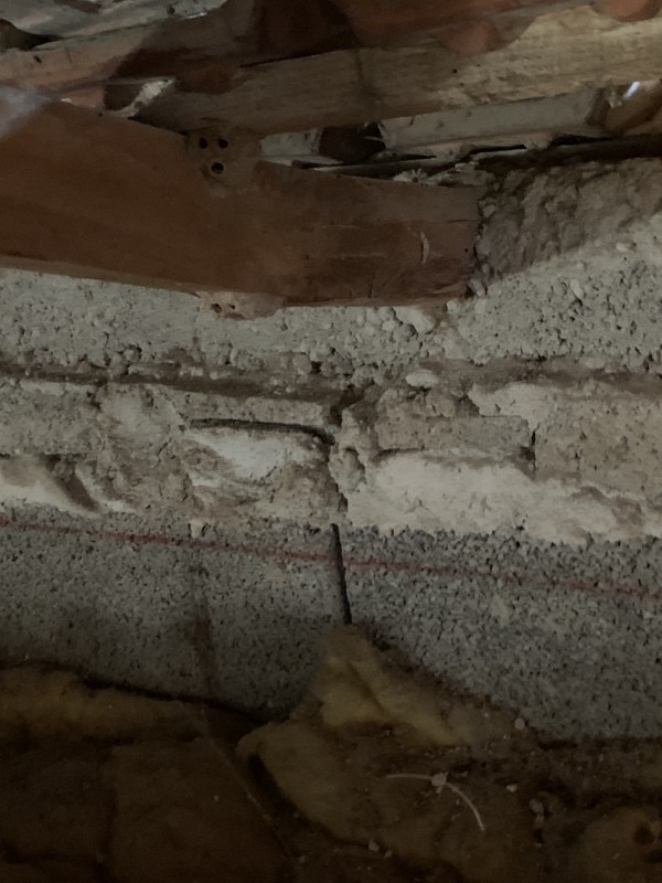 Traitement de charpente contre les fourmis charpentières à Six-Fours-les-Plages, La Seyne-sur-Mer et alentours – Chatelain Couvreurs