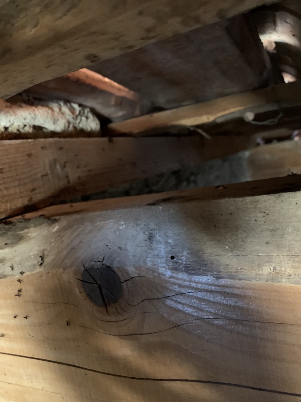 Traitement de charpente contre les fourmis charpentière et insectes xylophage à toulon dans le var