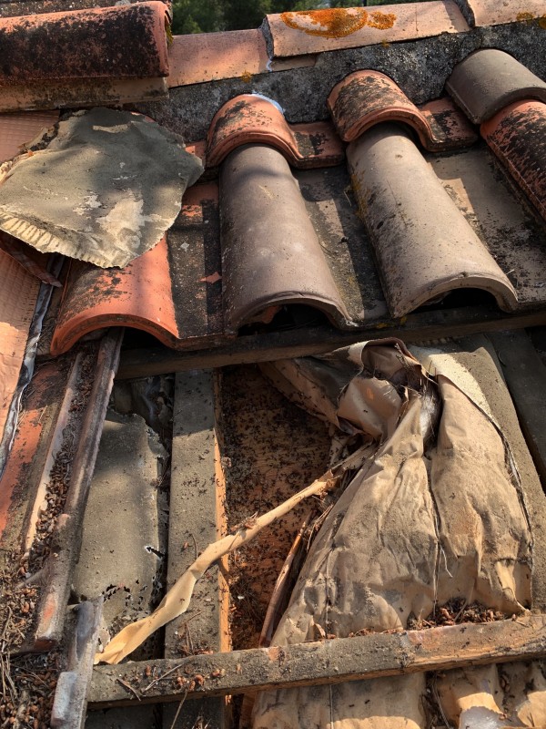 Charpentier, couvreur à la cadière d’azur pour traitement fourmis charpentière