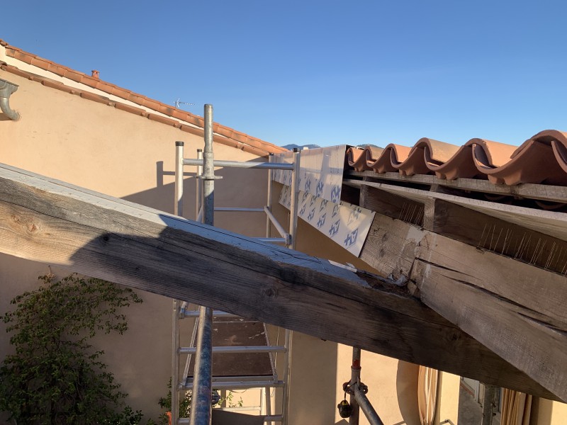 Travaux de Pose de Couvertine en Aluminium Laqué avec traitement contre les fourmis charpentière 

