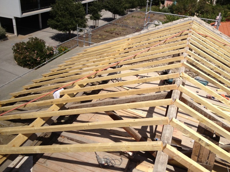 Charpentier, couvreur la seyne sur mer pour traitement anti termites