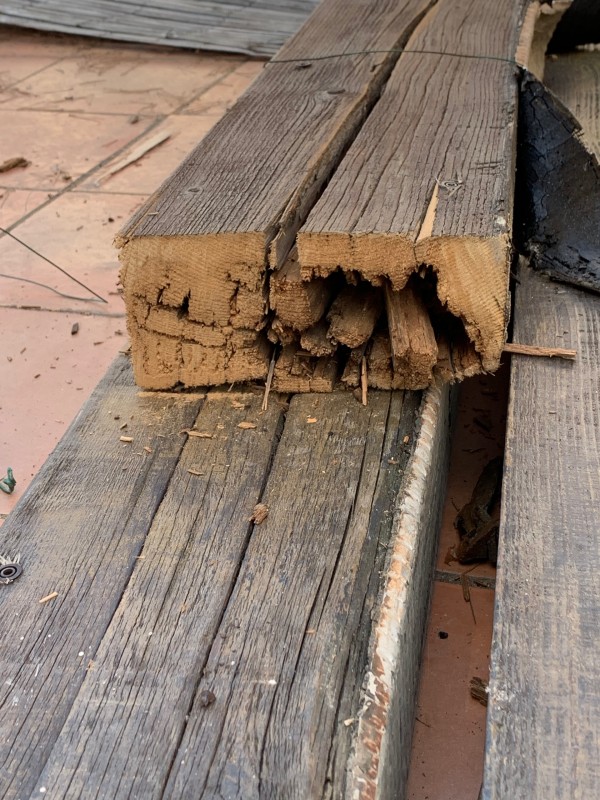 Traitement contre les fourmis Charpentière sur charpente bois à Toulon dans le Var