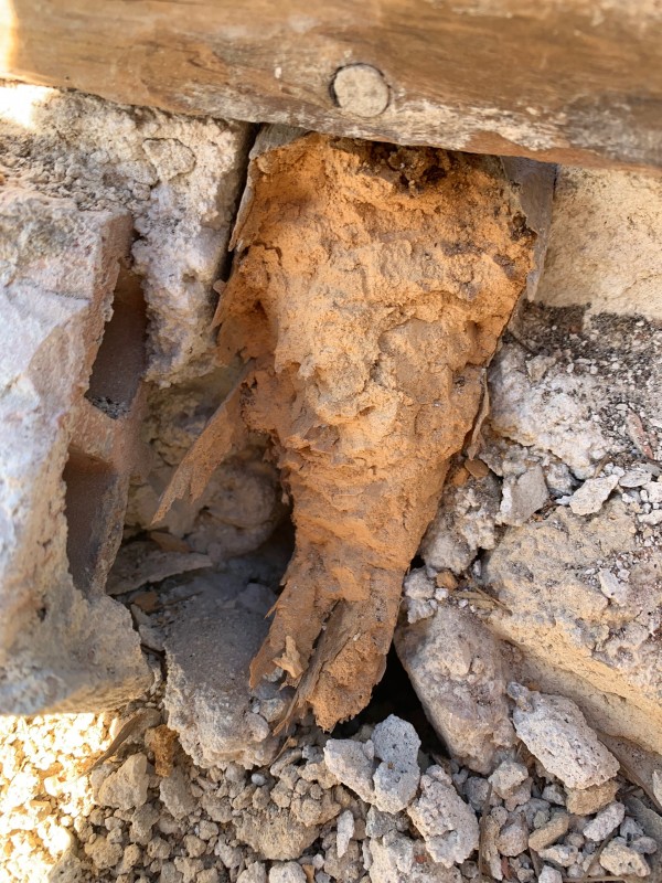 Changement de charpente suite à attaque de capricornes et termites à saint mandrier sur mer 83430