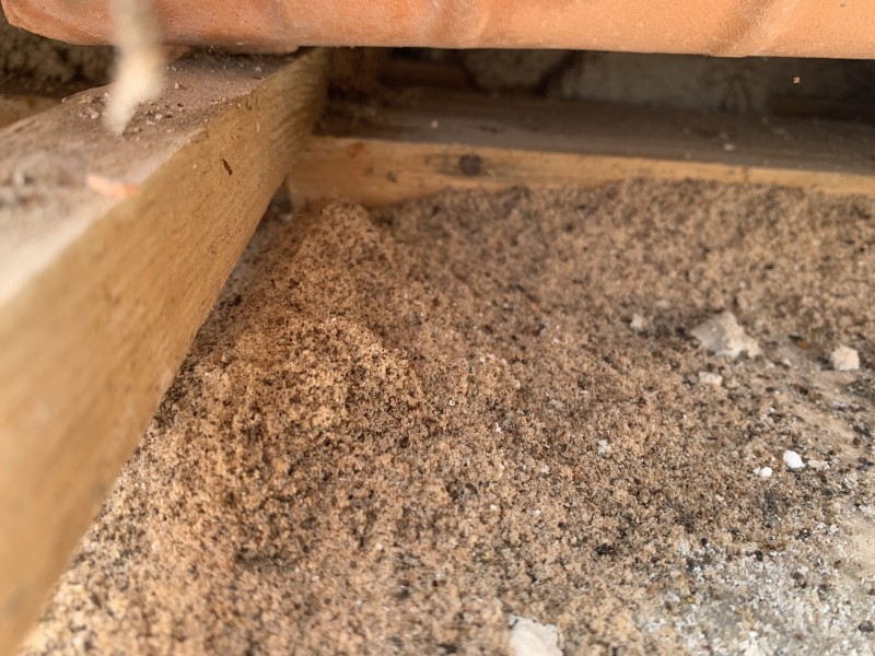 Traitement anti‑fourmis charpentières à Marseille (13) et Bouches du Rhône 