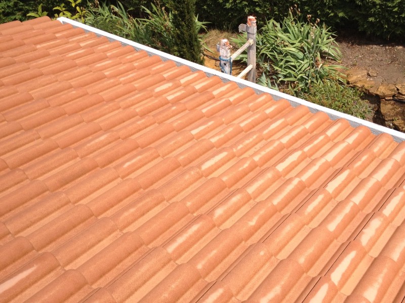 nettoyage de toiture www.chatelaincouvreurs.fr