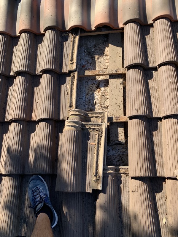 Traitement contre les fourmis charpentières à La Seyne‑sur‑Mer (83700, Var)