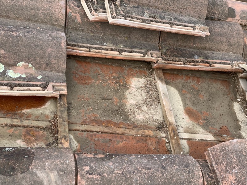 Traitement de charpente contre les fourmis charpentières à Bandol, Sanary-sur-Mer et Saint-Cyr-sur-Mer