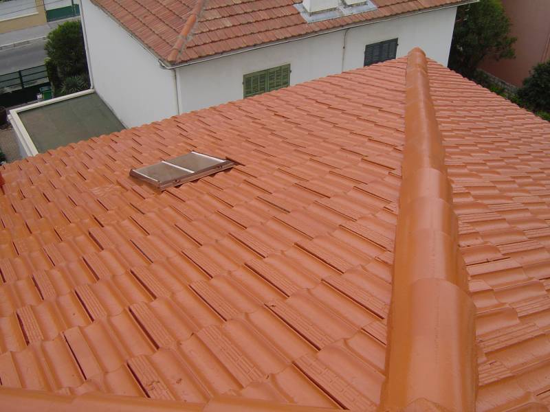 Rénovation de toiture par application de résine hydrofuge coloré a La Seyne Sur Mer