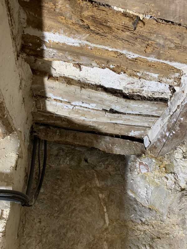 problème de termites sur plancher bois dans une cave à la cadière d’azur