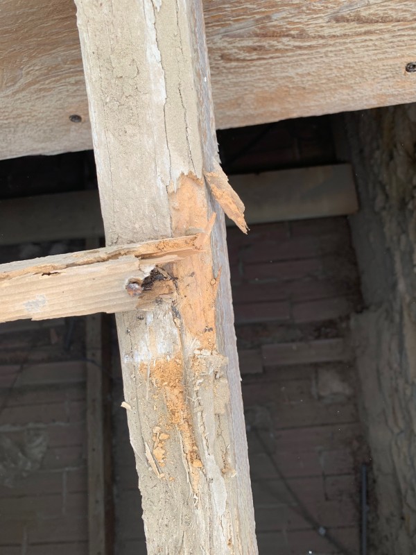 Changement de charpente suite à attaque de capricornes et termites à saint mandrier sur mer 83430