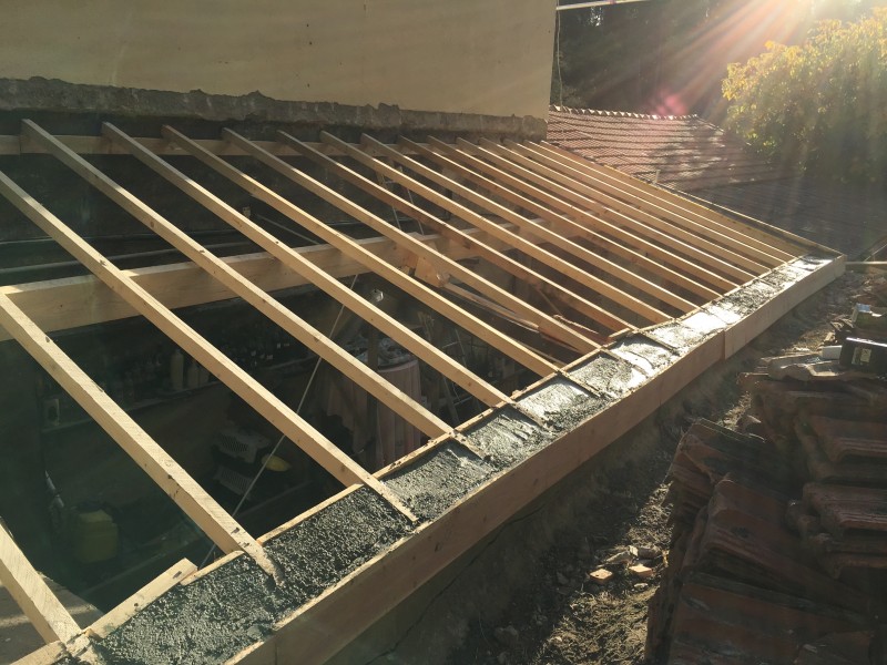 Charpentier, couvreur la seyne sur mer pour traitement anti termites