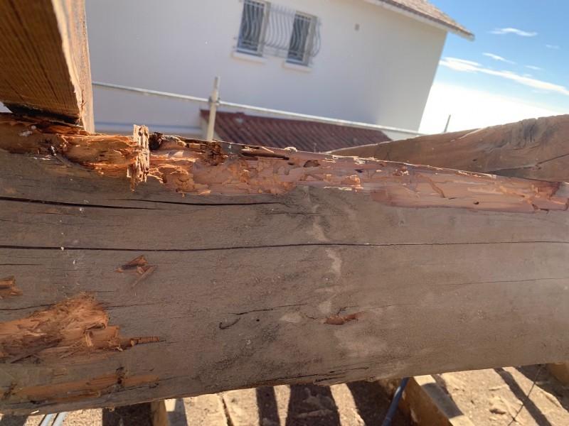 Changement de charpente suite à attaque de capricornes et termites à saint mandrier sur mer 83430
