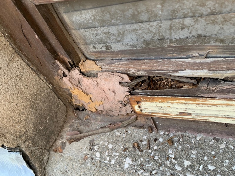 Réparation, remplacement de poteaux et cadre en bois sur une véranda bois extérieur à Toulon quartier Saint-Jean dans le Var, suite à une attaque de fourmis Charpentière et de termites