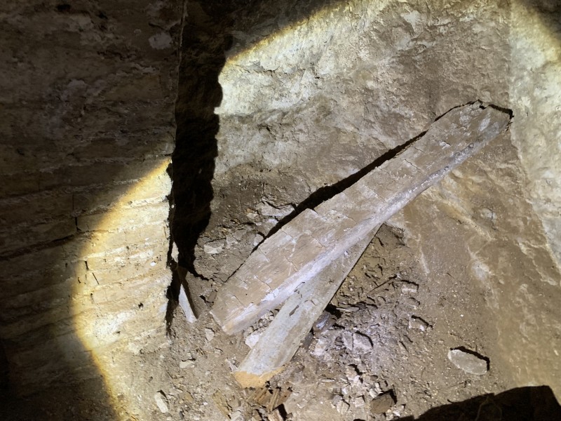 problème de termites sur plancher bois dans une cave à la cadière d’azur