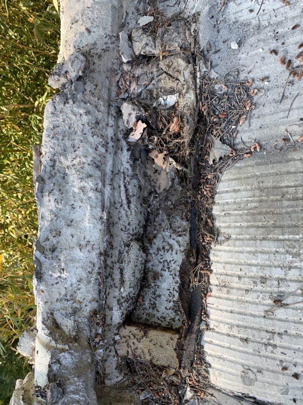 Couvreur pour traitement anti fourmis charpentière six fours les plages dans le var