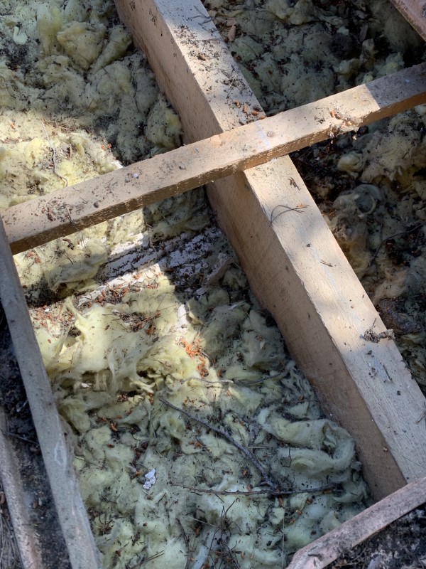traitement fourmis charpentière sur charpente bois a six fours les plages