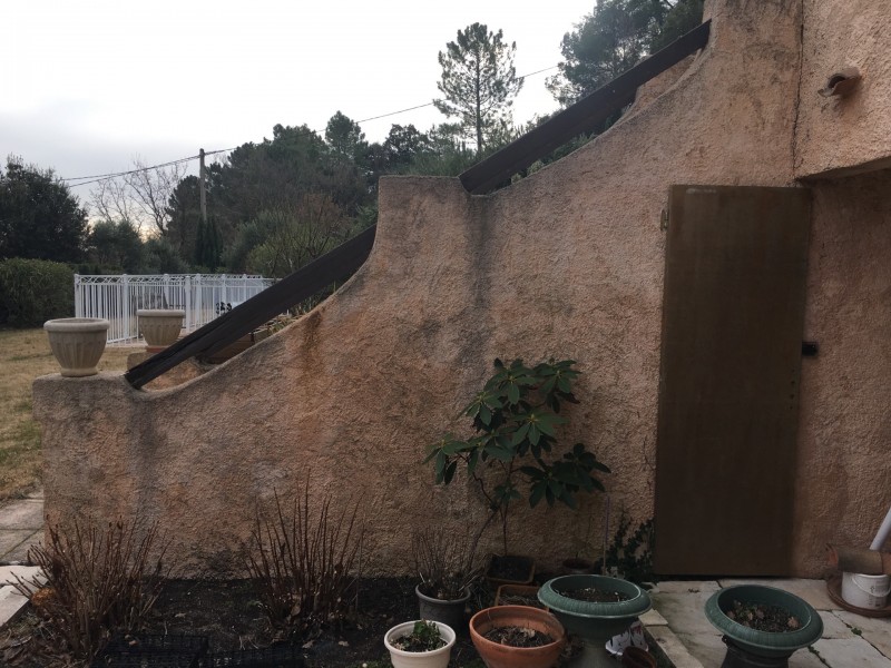 attaque de fourmis charpentière à Salernes