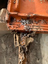 Nos prestations sur le secteur de Saint-Cyr-sur-Mer