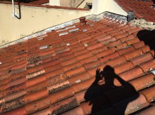 Nos prestations sur le secteur de La Seyne-sur-Mer