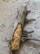 Notre zone d'activité pour ce service Traitement de charpente contre les champignons et les mérules